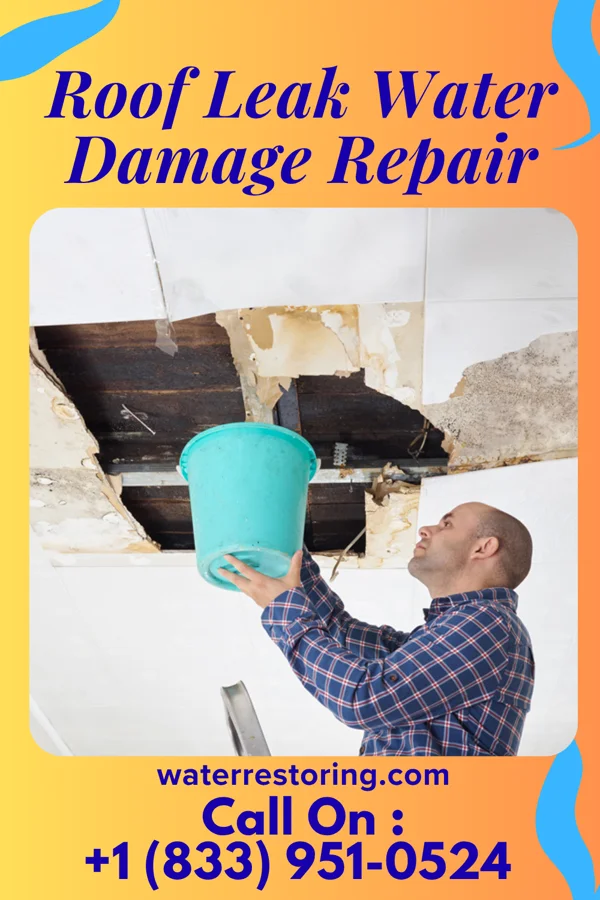 Roof Leak Water Damage Repair in Beltrami, MN